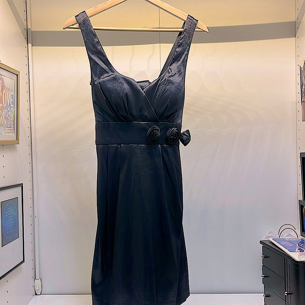 Alyn Paige 5/6 beautiful dress fully lined